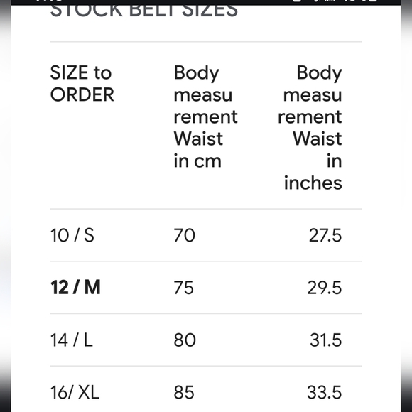 Vintage Gucci Leather BELT - Picture 14 of 14